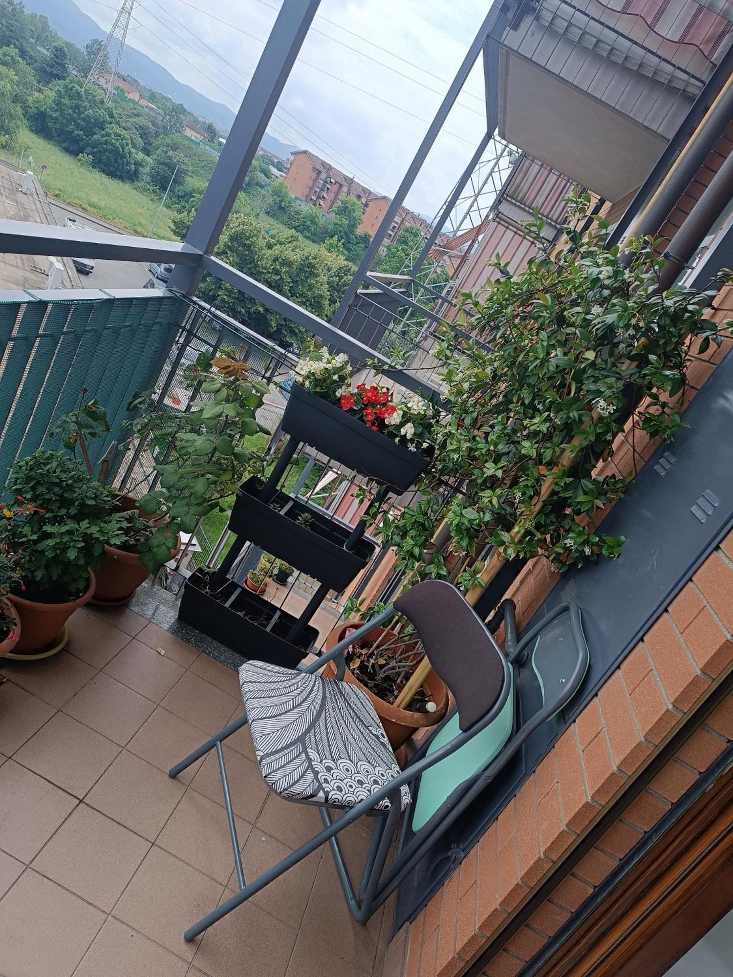 In Casa Zoe Lejlighed Venaria Reale Eksteriør billede